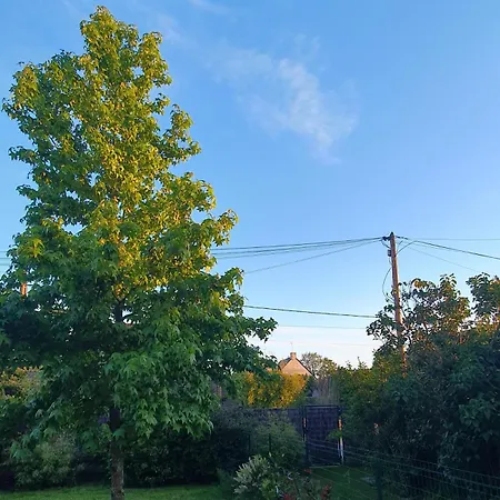 Maisonnette Avec Jardin Semesterbostad Guérande
